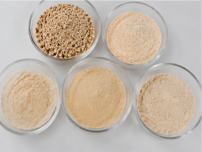 The Invisible Architecture of Powder: How a Vibratory Sieve Shaker Decides What Your Amaranth Bread Becomes 2