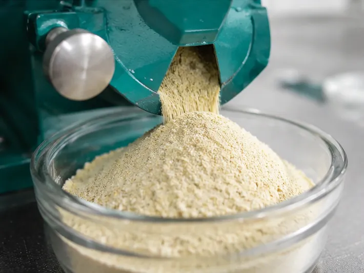 The Grain, the Grinder, and the Hidden Poison: Why Mycotoxin Testing Depends on a Perfectly Boring Pulverization 2