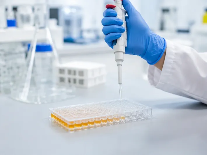 The Grain, the Grinder, and the Hidden Poison: Why Mycotoxin Testing Depends on a Perfectly Boring Pulverization 3